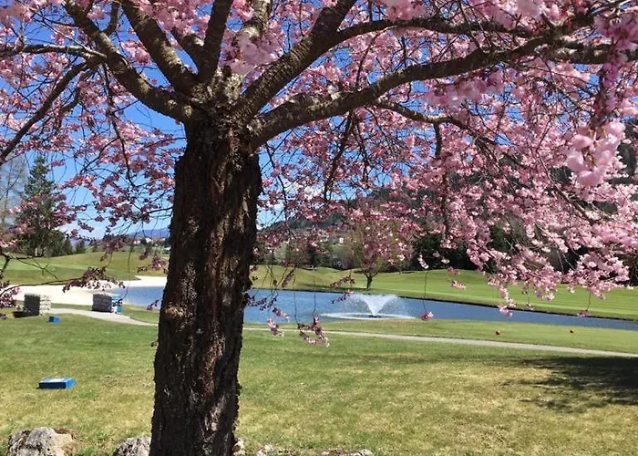 Appartement Schraberger - Alpin *