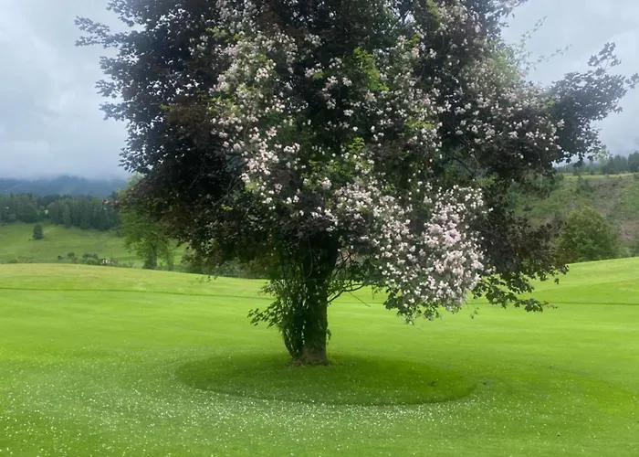 Schraberger - Alpin Appartement *