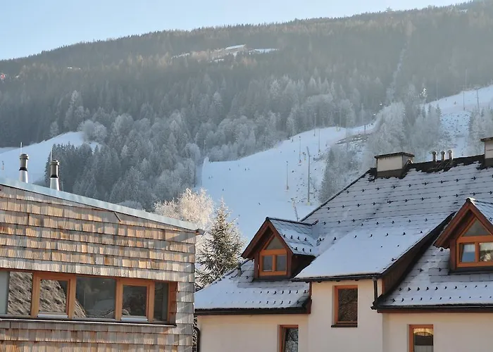 Schraberger - Alpin Appartement