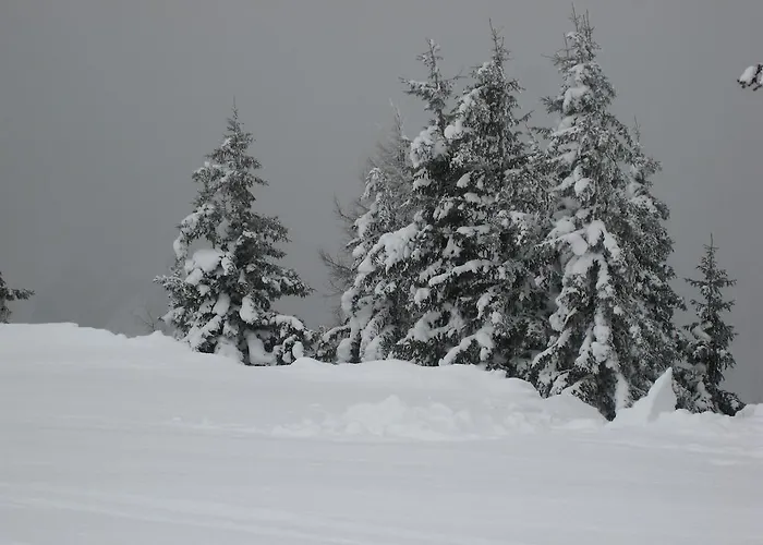 Schraberger - Alpin Appartement *